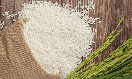 Agriculture